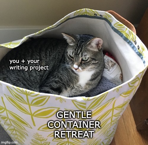 A grey tabby cat labeled "you + your writing project" looks contemplative while curled up in a canvas laundry bin labeled "Gentle Container Retreat"